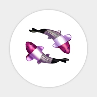 Asexual Pride Koi Fish Magnet